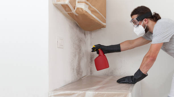 Professional Bathroom Mold Removal technician working in Bennett, CO